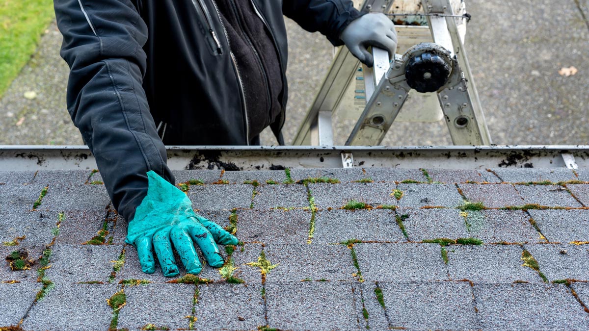 Is Your Roof Ready for Michigan’s Winter? Fall Inspection Tips for Homeowners
