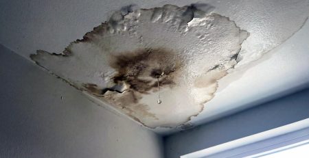 Signs of Roof Leaks Grand Rapids Roofing Company