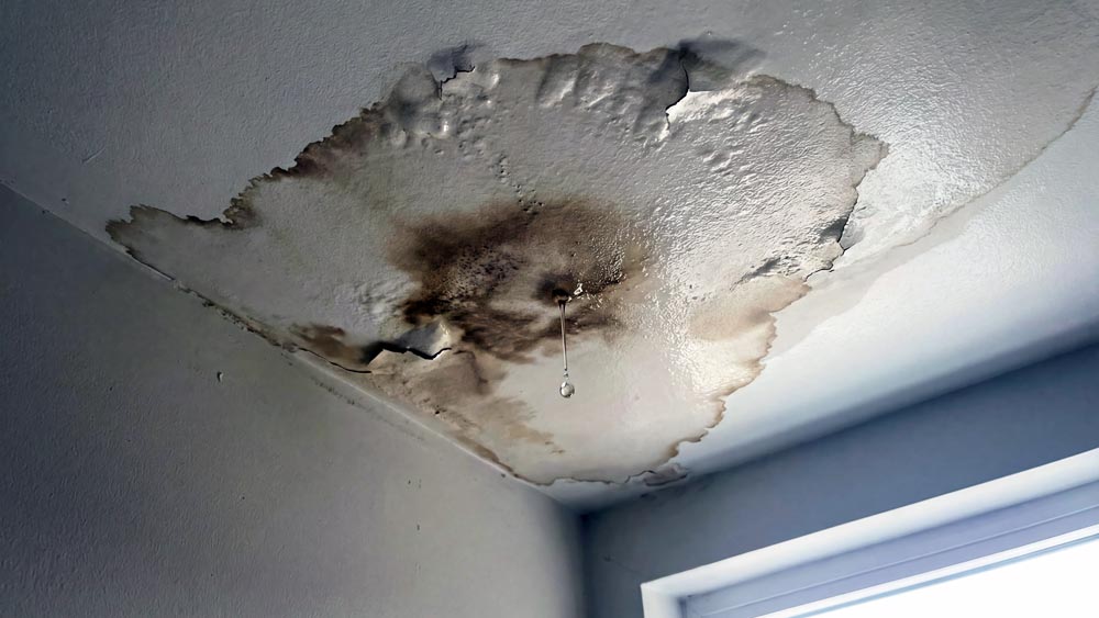 Signs of Roof Leaks Grand Rapids Roofing Company