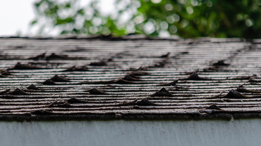 Roof Replacement Signs Michigan Winter