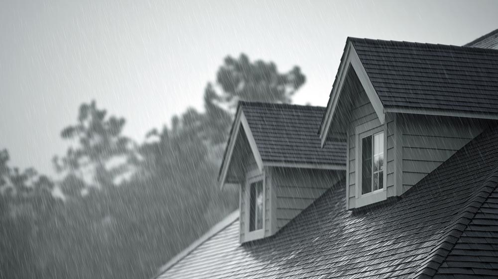 Grand Rapids Roof Leak After Heavy Rain